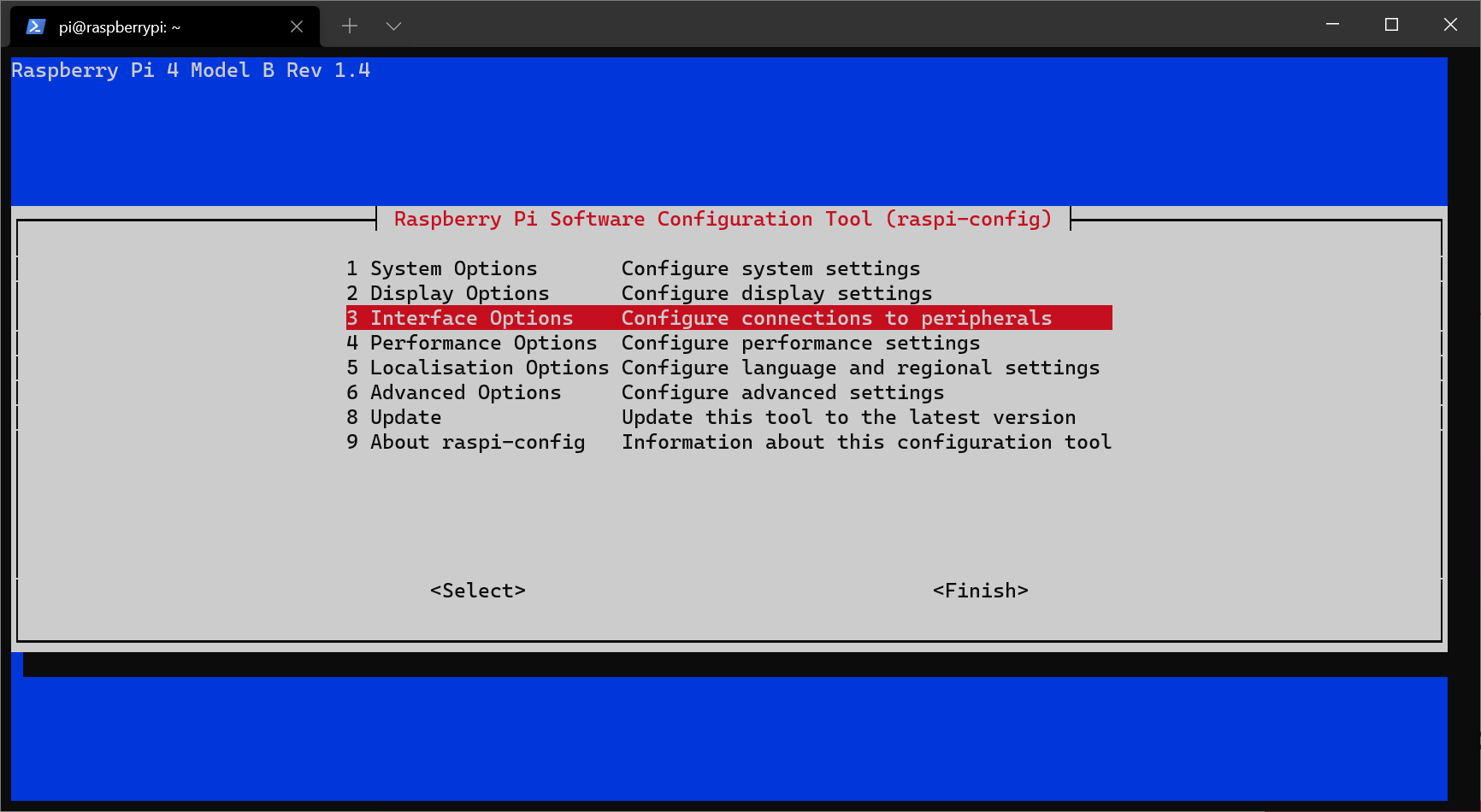 Raspberry Pi 4 Screenshot 2