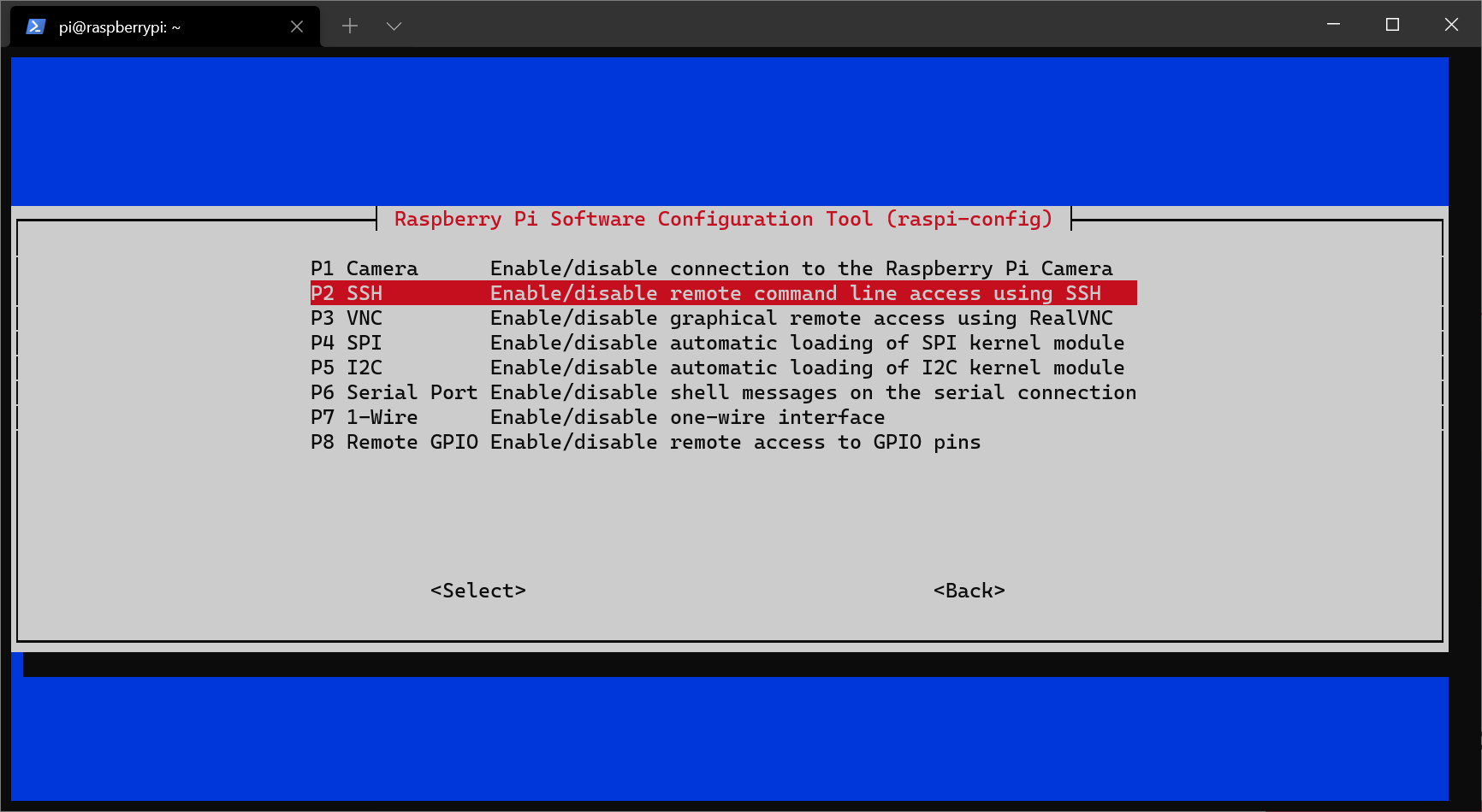 Raspberry Pi 4 Screenshot 3